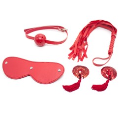 ball gag blindfold flogger with nipple cover kit