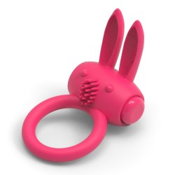 rabbit-love-ring.jpg